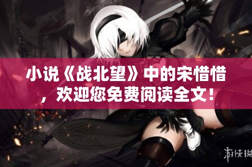 小说《战北望》中的宋惜惜，欢迎您免费阅读全文！