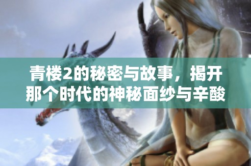 青楼2的秘密与故事，揭开那个时代的神秘面纱与辛酸往事