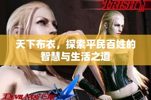 天下布衣，探索平民百姓的智慧与生活之道
