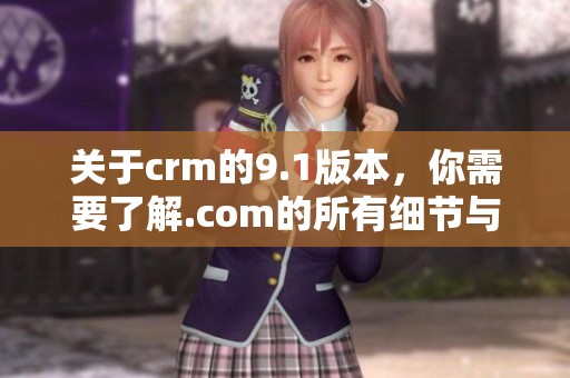 关于crm的9.1版本，你需要了解.com的所有细节与功能