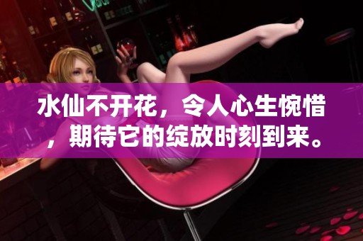 水仙不开花，令人心生惋惜，期待它的绽放时刻到来。