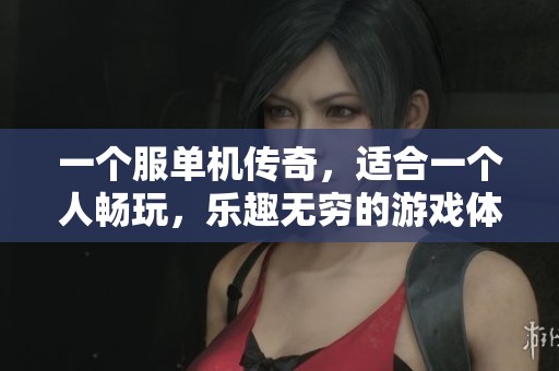 一个服单机传奇，适合一个人畅玩，乐趣无穷的游戏体验