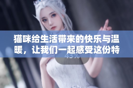 猫咪给生活带来的快乐与温暖，让我们一起感受这份特别的陪伴