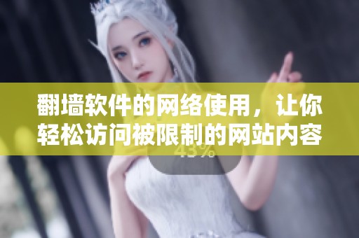 翻墙软件的网络使用，让你轻松访问被限制的网站内容