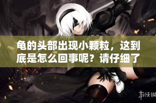 龟的头部出现小颗粒，这到底是怎么回事呢？请仔细了解一下。