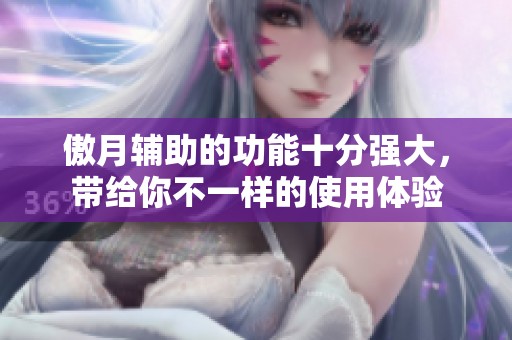 傲月辅助的功能十分强大，带给你不一样的使用体验
