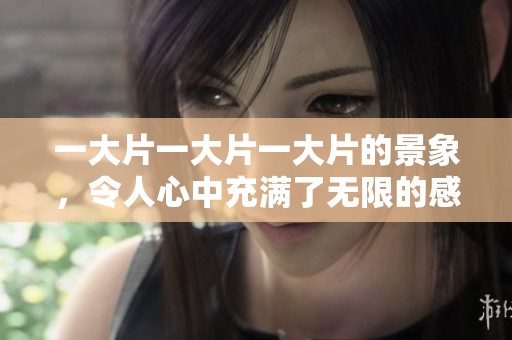 一大片一大片一大片的景象，令人心中充满了无限的感慨与遐想