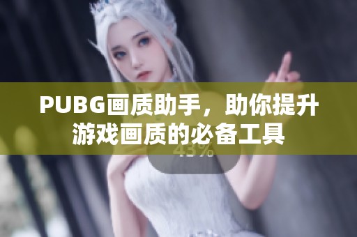 PUBG画质助手，助你提升游戏画质的必备工具
