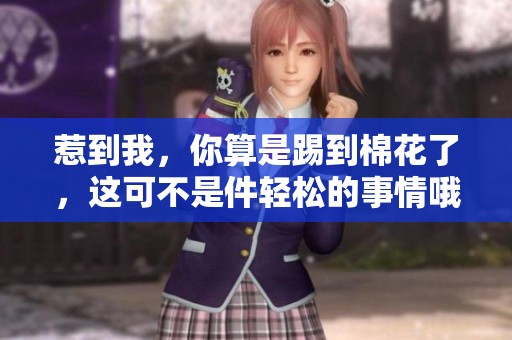 惹到我，你算是踢到棉花了，这可不是件轻松的事情哦！