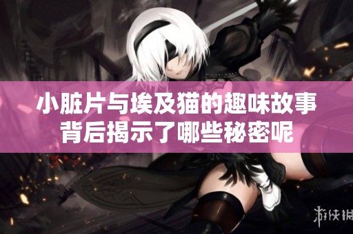 小脏片与埃及猫的趣味故事背后揭示了哪些秘密呢