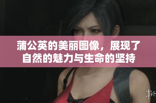 蒲公英的美丽图像，展现了自然的魅力与生命的坚持