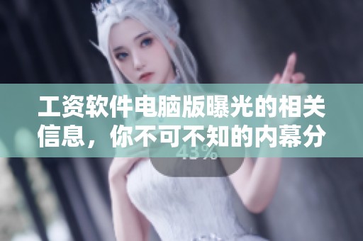 工资软件电脑版曝光的相关信息，你不可不知的内幕分析