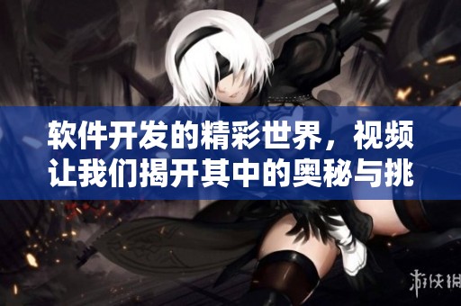 软件开发的精彩世界，视频让我们揭开其中的奥秘与挑战