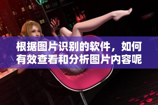 根据图片识别的软件，如何有效查看和分析图片内容呢？