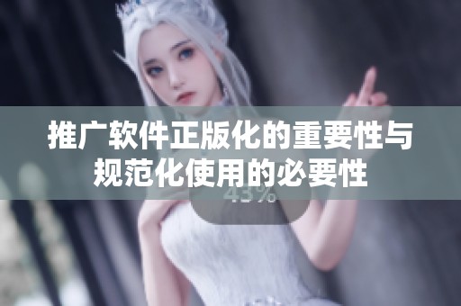 推广软件正版化的重要性与规范化使用的必要性