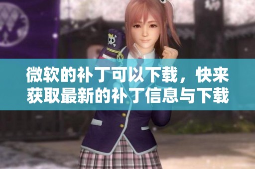 微软的补丁可以下载，快来获取最新的补丁信息与下载方法吧！