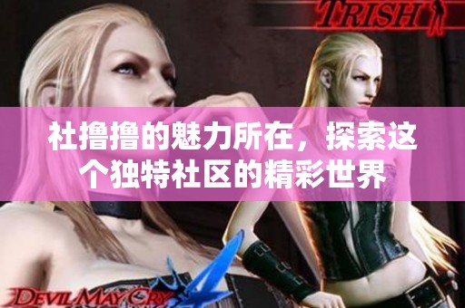 社撸撸的魅力所在，探索这个独特社区的精彩世界