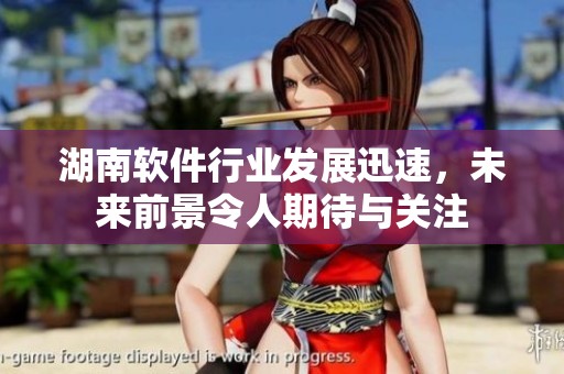 湖南软件行业发展迅速，未来前景令人期待与关注