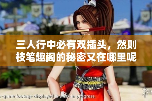 三人行中必有双插头，然则枝笔趣阁的秘密又在哪里呢