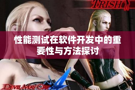 性能测试在软件开发中的重要性与方法探讨