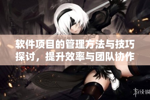 软件项目的管理方法与技巧探讨，提升效率与团队协作的重要性