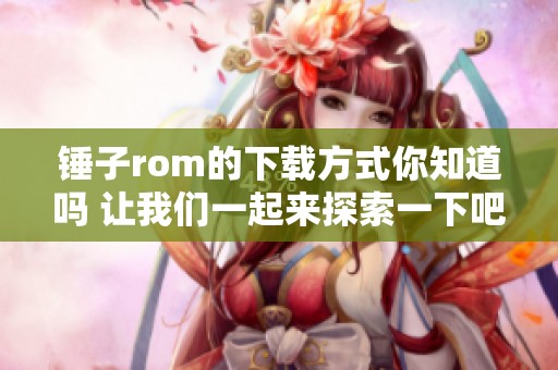 锤子rom的下载方式你知道吗 让我们一起来探索一下吧