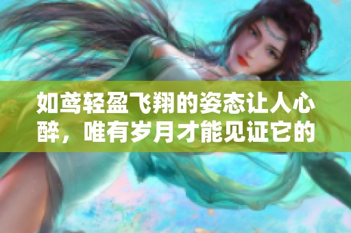 如鸢轻盈飞翔的姿态让人心醉，唯有岁月才能见证它的精彩旅程