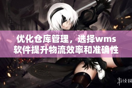 优化仓库管理，选择wms软件提升物流效率和准确性