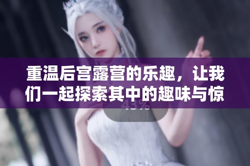 重温后宫露营的乐趣，让我们一起探索其中的趣味与惊喜