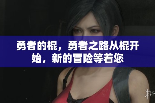 勇者的棍，勇者之路从棍开始，新的冒险等着您