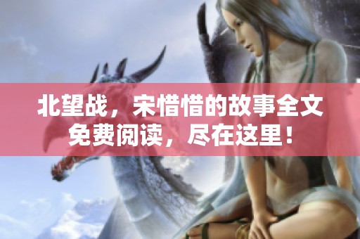 北望战，宋惜惜的故事全文免费阅读，尽在这里！