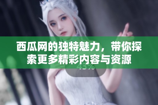 西瓜网的独特魅力，带你探索更多精彩内容与资源