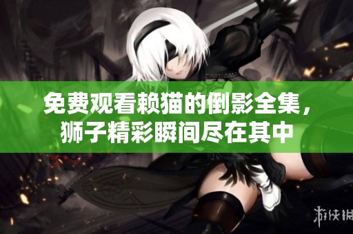 免费观看赖猫的倒影全集，狮子精彩瞬间尽在其中