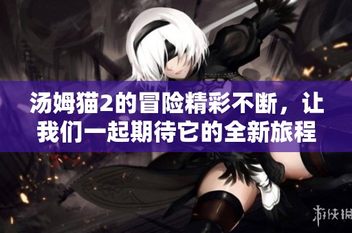 汤姆猫2的冒险精彩不断，让我们一起期待它的全新旅程与欢乐时光