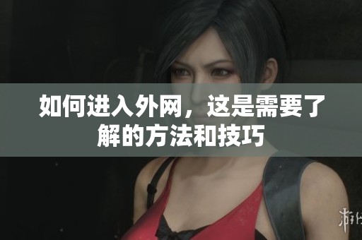 如何进入外网，这是需要了解的方法和技巧