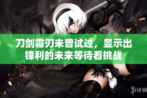 刀剑霜刃未曾试过，显示出锋利的未来等待着挑战