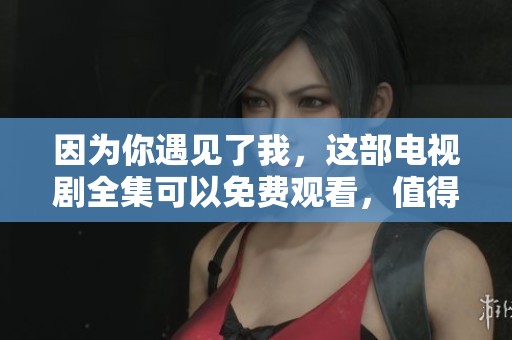 因为你遇见了我，这部电视剧全集可以免费观看，值得一看！