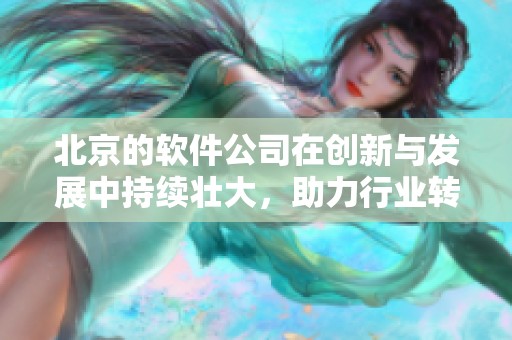 北京的软件公司在创新与发展中持续壮大，助力行业转型与升级