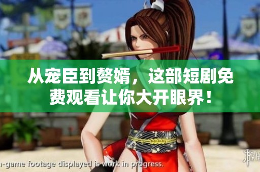 从宠臣到赘婿，这部短剧免费观看让你大开眼界！