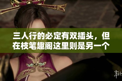 三人行的必定有双插头，但在枝笔趣阁这里则是另一个故事。