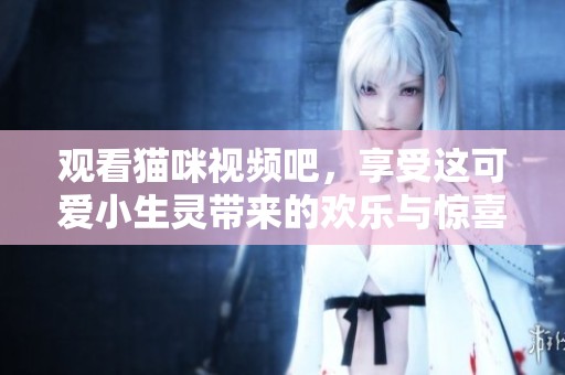 观看猫咪视频吧，享受这可爱小生灵带来的欢乐与惊喜！
