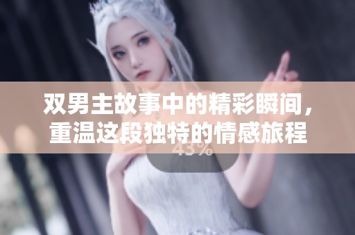 双男主故事中的精彩瞬间，重温这段独特的情感旅程