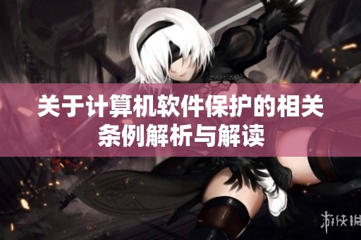 关于计算机软件保护的相关条例解析与解读