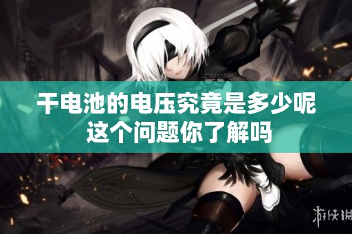 干电池的电压究竟是多少呢 这个问题你了解吗