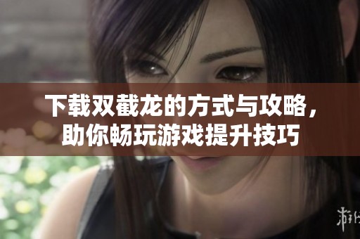 下载双截龙的方式与攻略，助你畅玩游戏提升技巧