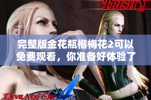 完整版金花瓶楷梅花2可以免费观看，你准备好体验了吗