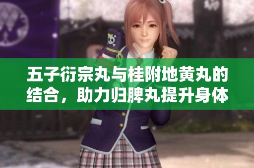 五子衍宗丸与桂附地黄丸的结合，助力归脾丸提升身体机能