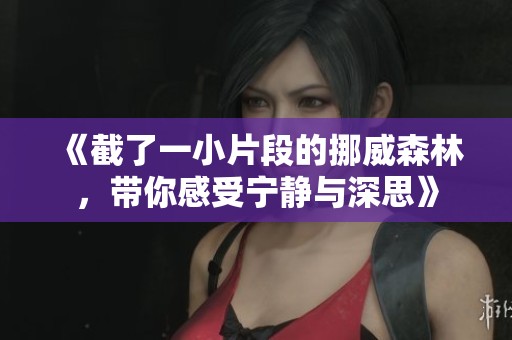 《截了一小片段的挪威森林，带你感受宁静与深思》