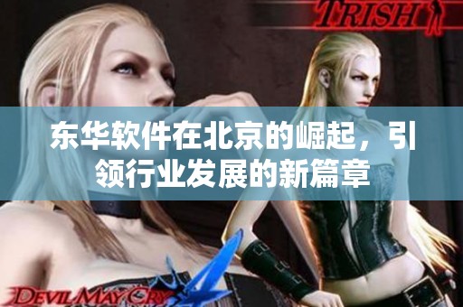 东华软件在北京的崛起，引领行业发展的新篇章