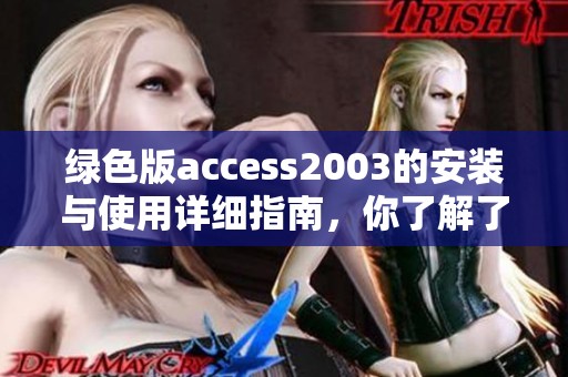 绿色版access2003的安装与使用详细指南，你了解了吗